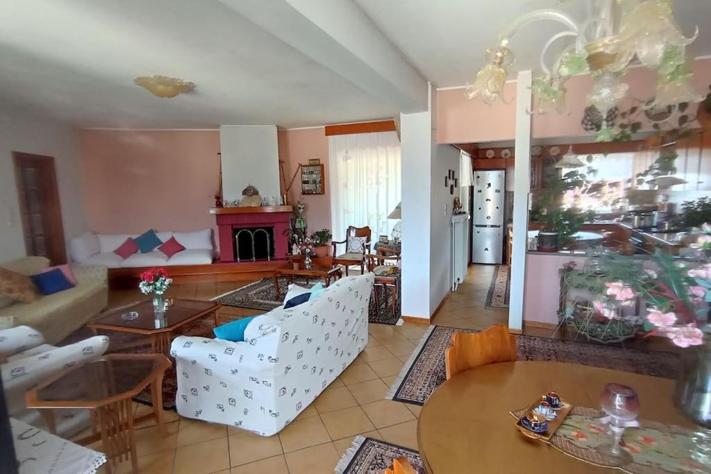 Διαμέρισμα Τριών Υπνοδωμάτιων. Ioannina Exterior photo